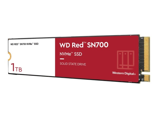 WESTERN DIGITAL SSD Red SN700 1TB