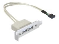 DELOCK SB USB 2.0 Low Profile 2 Port