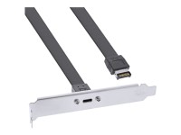 INLINE Slotblende USB Typ-C zu USB 3.1 Frontpanel Key-A intern, 0,3m