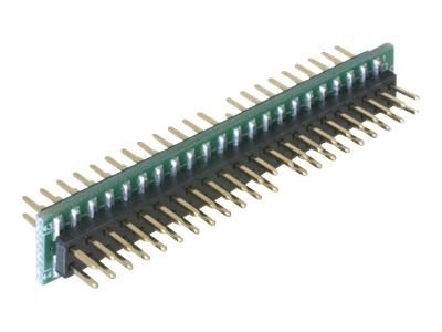 Delock Adapter 44 Pin IDE Stecker > 44 Pin IDE Stecker