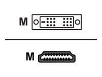 HERWECK Helos Anschlusskabel, HDMI Stecker/DVI Stecker, PREMIUM 4K, 3,0m, schwarz HDMI 1.4 St./ DVI