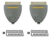BANDRIDGE SCART Audio Video Kabel 2.0 m - Verbindet DVD- und andere Geräte mit beliebigem TV.