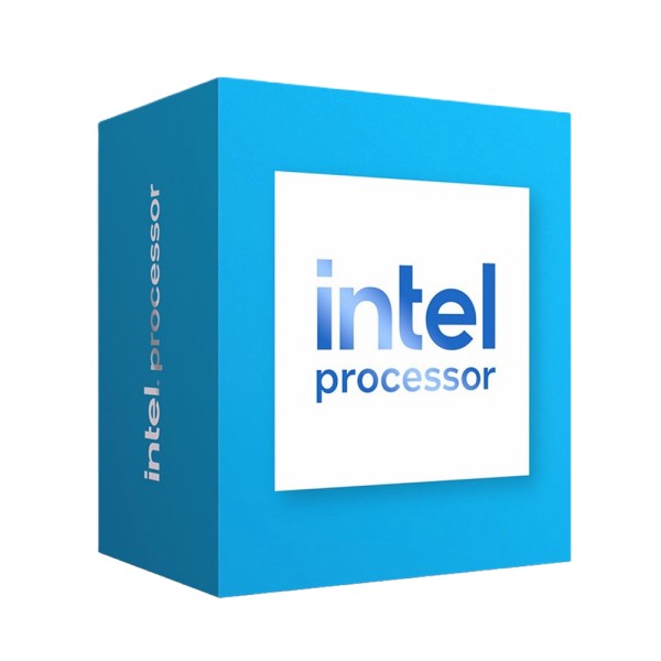 INTEL Processor 300 S1700 Box