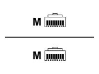 HERWECK Helos Ultra Slim - Patch-Kabel - RJ-45 (M) bis RJ-45 (M) - 3 m - UTP - CAT 6a - flach - Rot