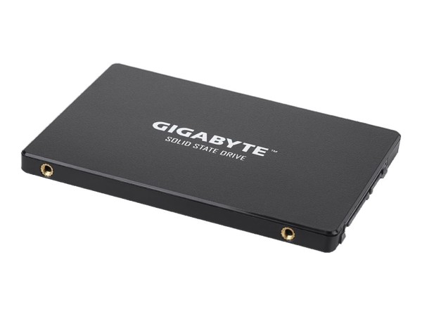 GIGABYTE GP-GSTFS31240GNTD 240GB