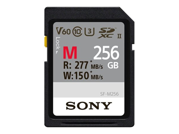 SONY SDXC M Series 256GB