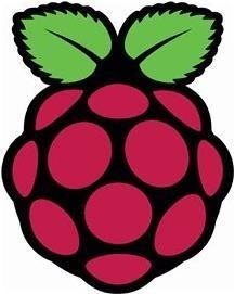 RASPBERRY PI 4 - 4 GB Starter Kit - RaspberryPi 4 - 4 GB - Original Raspberry Pi 4 B Plastik Gehäuse