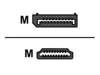 HERWECK Helos Anschlusskabel, DisplayPort Stecker/HDMI Stecker, PREMIUM, 1,0m, schwarz DP 1.1 Steck
