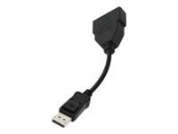 Club DISPLAYPORT TO DVI-D 18+1