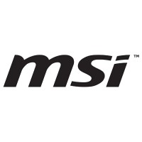 MSI PRO 16T 10M-228XDE 39,6cm (15,6