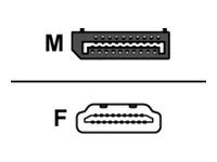 HERWECK Helos Adapterkabel, DisplayPort Stecker/ HDMI Buchse, PREMIUM 4K, silber DisplayPort 1.2 St