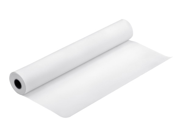 EPSON Proofing Paper White Sem White Semimatte 17" Rolle