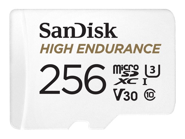 SANDISK High Endurance 256GB