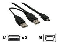 NONAME USB Mini-Y-Kabel, 2x Stecker A an Mini-B Stecker (5pol.), 1,0m