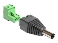 DELOCK Adapter Terminalblock > DC 2,1 x 5,5 mm Stecker 2-teilig