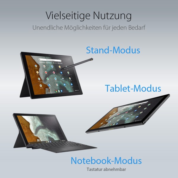 ASUS Chromebook CM3 CM3001DM2A-R70015 26,69cm (10,51") MediaTek 520 8GB 128GB ChromeOS