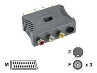 BANDRIDGE SCART Audio Video Adapter - SCART-Stecker - S-Video-Kupplung + 3 x Cinch-Kupplung.