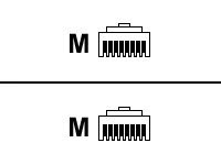 WENTRONIC CAT 5e Netzwerkkabel Lose Ware - 2xRJ45 St. folien+geflechtgeschirmt