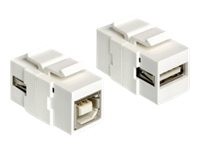 DELOCK Keystone USB2.0 A Buchse > USB2.0 B Buchse