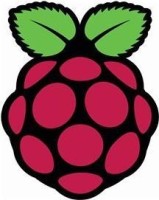 RASPBERRY PI 4 - 4 GB Starter Kit - RaspberryPi 4 - 4 GB - Original Raspberry Pi 4 B Plastik Gehäuse