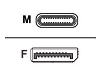 HERWECK Helos Adapterkabel, USB 3.1 Type-CT Stecker/DisplayPort 1.2 Bu., PREMIUM, silber USB Type-C
