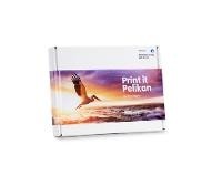 PELIKAN Toner Brother LC1000 Value Pack B/C/M/Y