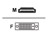 HERWECK Helos Adapter vergoldet, HDMI Buchse/ DVI Stecker, PREMIUM 4K, dunkelgrau HDMI 1.4 Buchse/D
