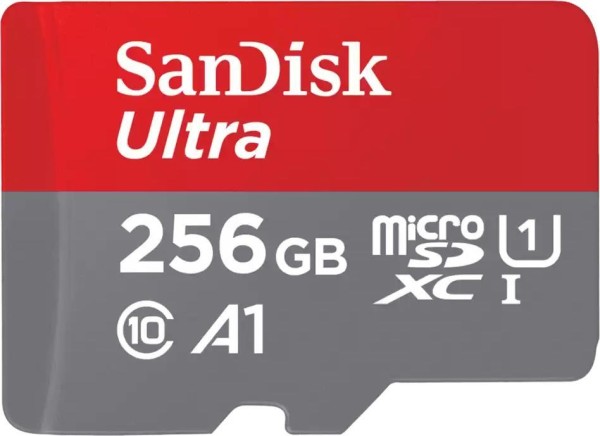 SANDISK Ultra Class 10 256GB