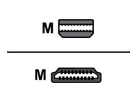 HERWECK Helos Anschlusskabel, mini DisplayPort St./HDMI St., PREMIUM 4K, 2,0m, schwarz mini Display