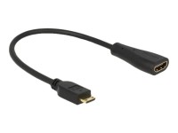 Adapter DELOCK High Speed HDMI with Ethernet (HEC) mini-C St.> A-Bu.  [bk]