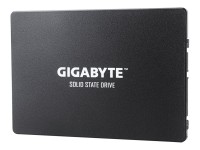GIGABYTE GP-GSTFS31256GTND 256GB
