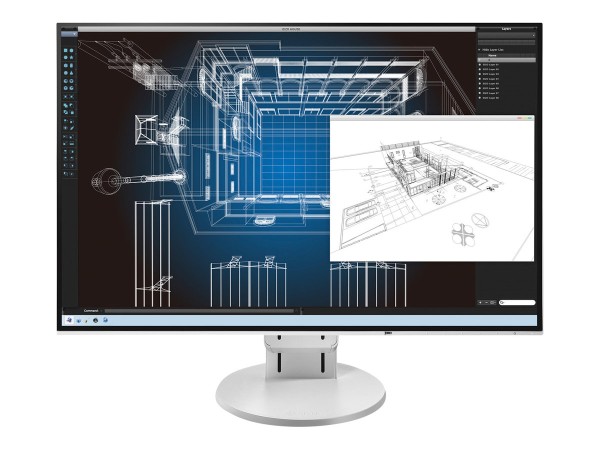 EIZO EV2456 61,2cm (24,1")