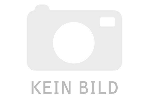 HERWECK Helos Adapterkabel, DisplayPort Stecker/DVI Buchse, PREMIUM, silber DisplayPort 1.2 St./DVI