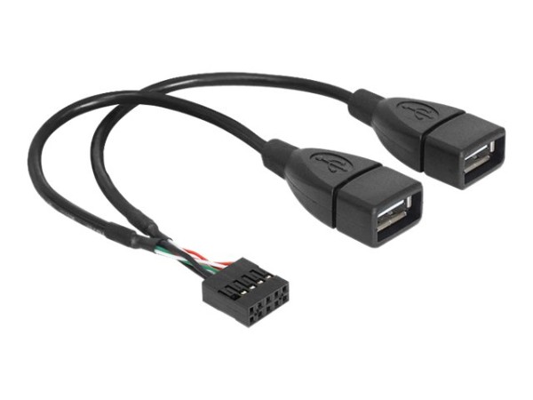 DELOCK Kabel USB Pinheader Buchse > USB-A 2 x Buchse 20 cm